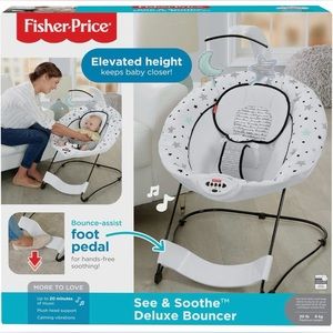 Fisher Price deluxe bouncer